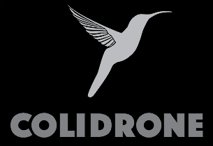 LOGO_COLIDRONE_SITE01.png